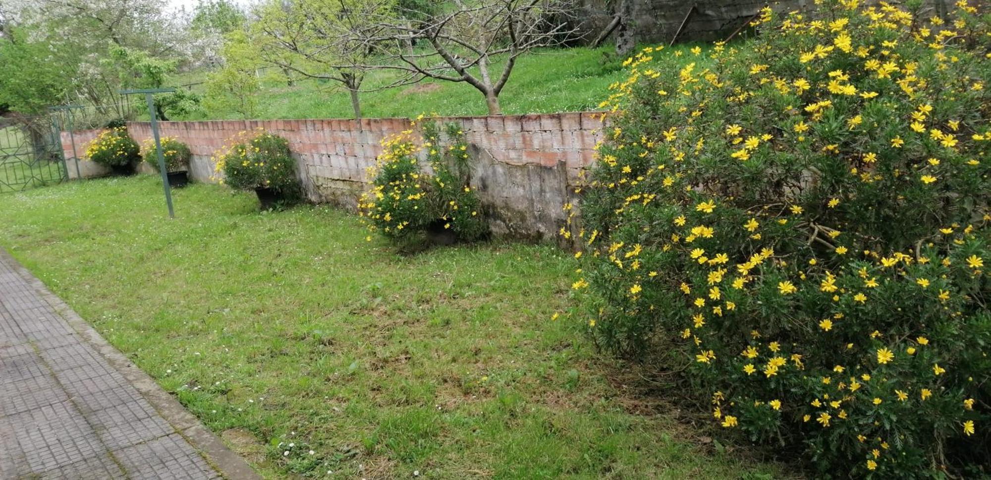 Fondu La Llosa - Casita Cerca De Gijon - Vv-662-As Villaviciosa  Εξωτερικό φωτογραφία